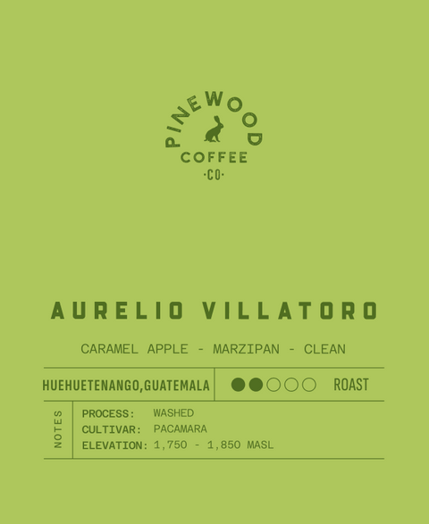 Aurelio Villatoro